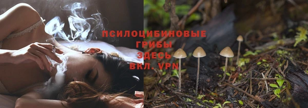 ALPHA PVP Лабытнанги